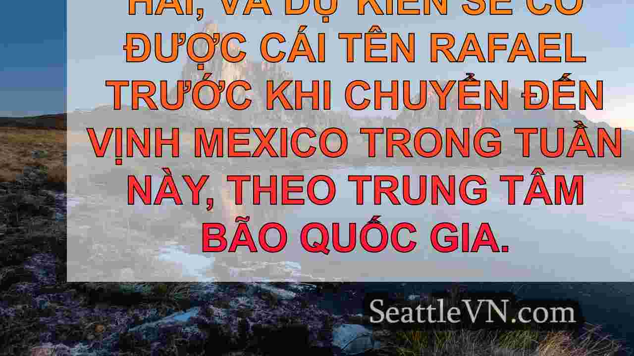 Trầm cảm nhiệt đới 18 hình thức, dự