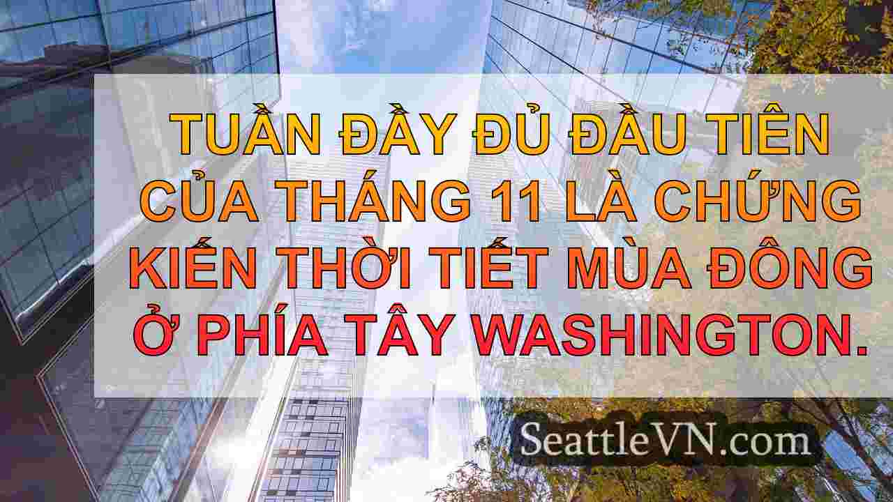 tin tức seattle SeattleVN