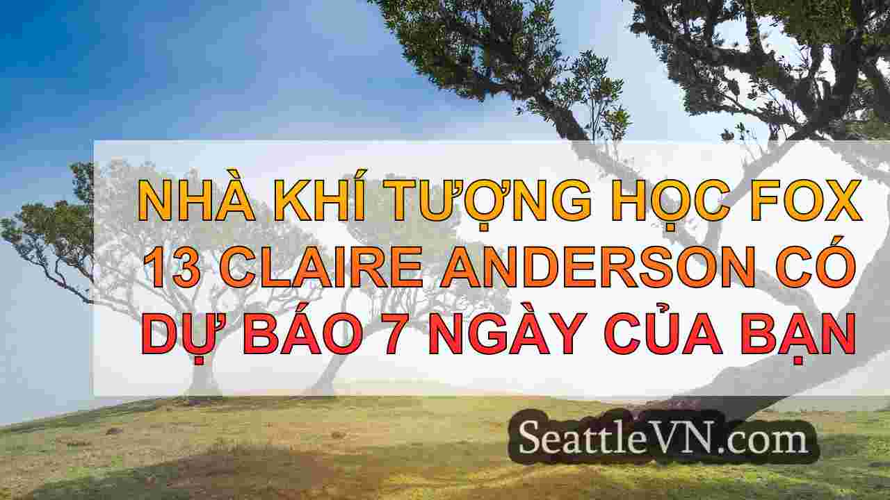 tin tức seattle SeattleVN