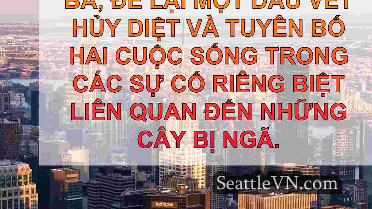 tin tức seattle SeattleVN