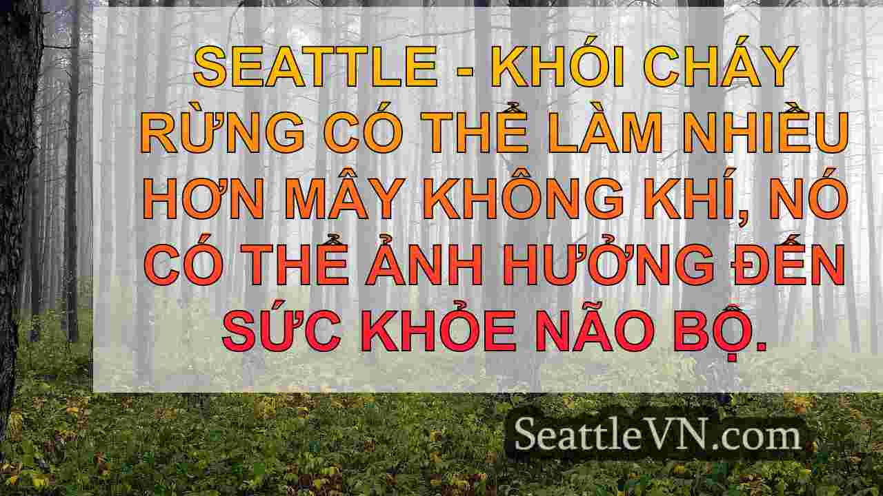 tin tức seattle SeattleVN