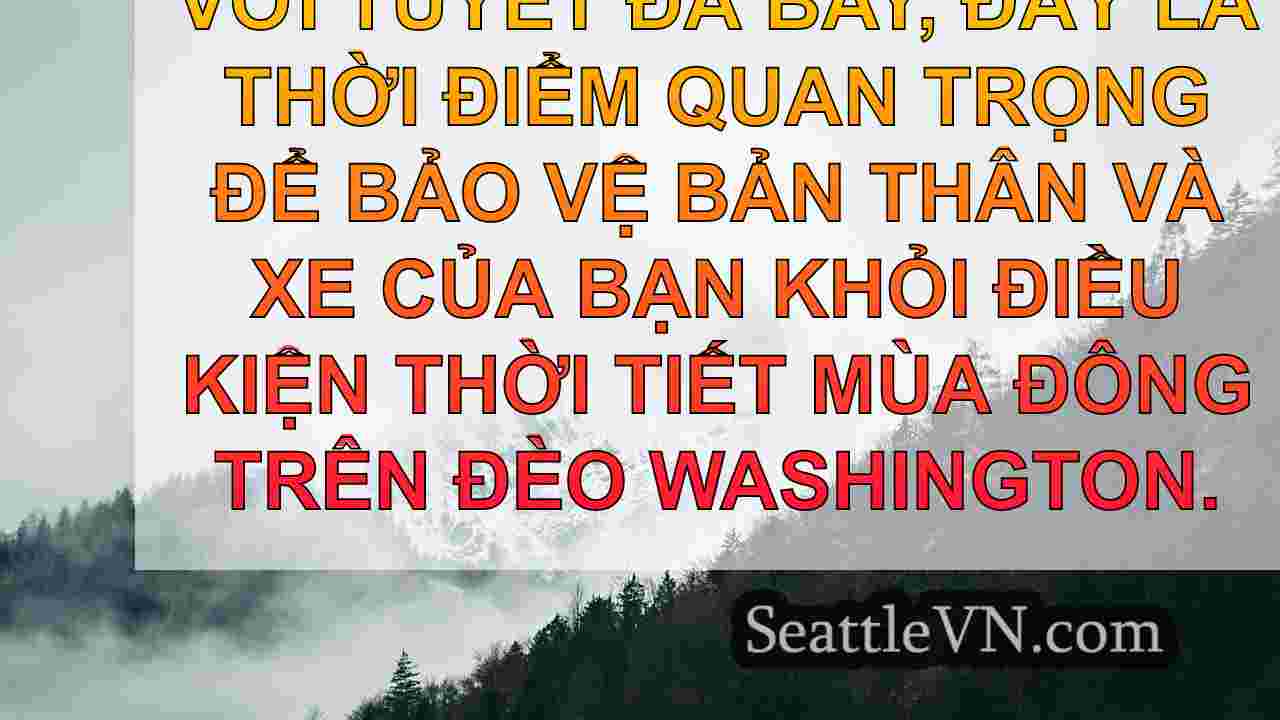 tin tức seattle SeattleVN