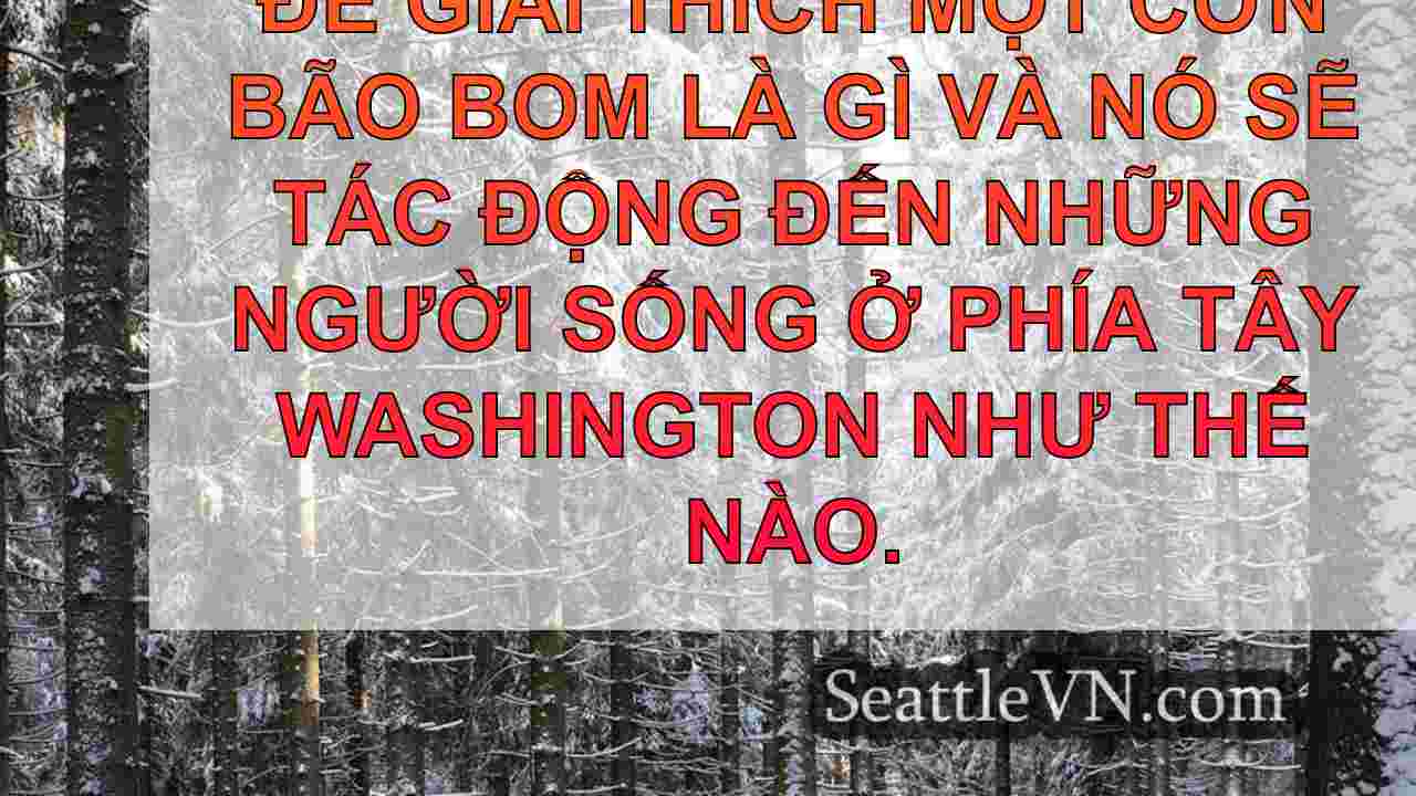 tin tức seattle SeattleVN