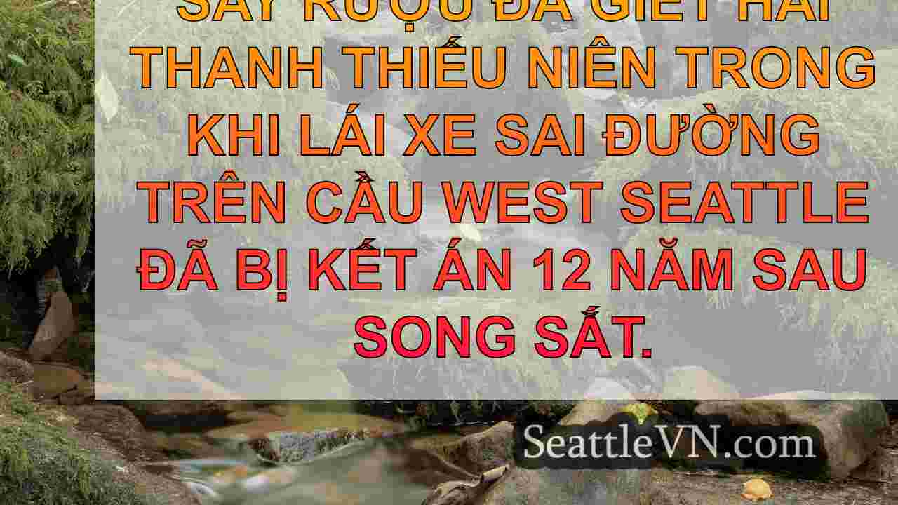tin tức seattle SeattleVN
