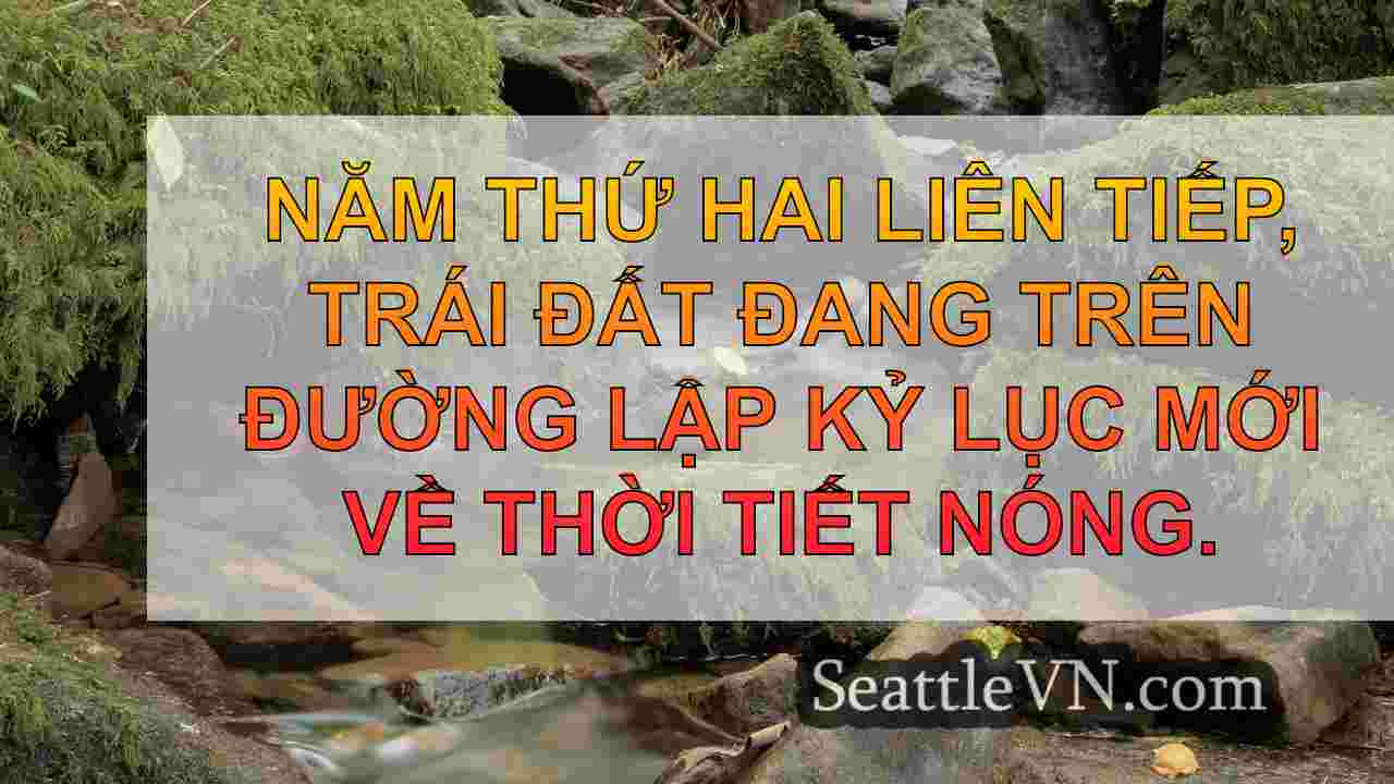 tin tức seattle SeattleVN
