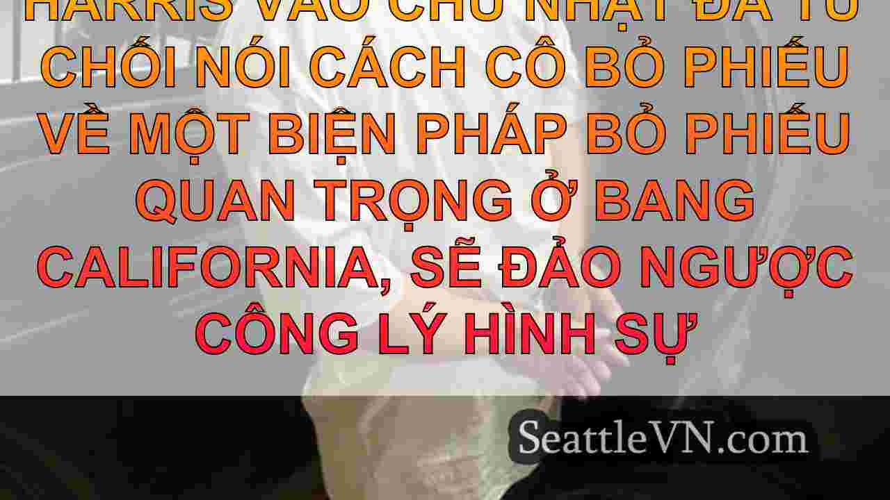 tin tức seattle SeattleVN