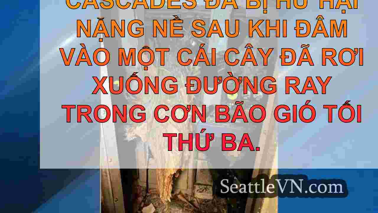 tin tức seattle SeattleVN
