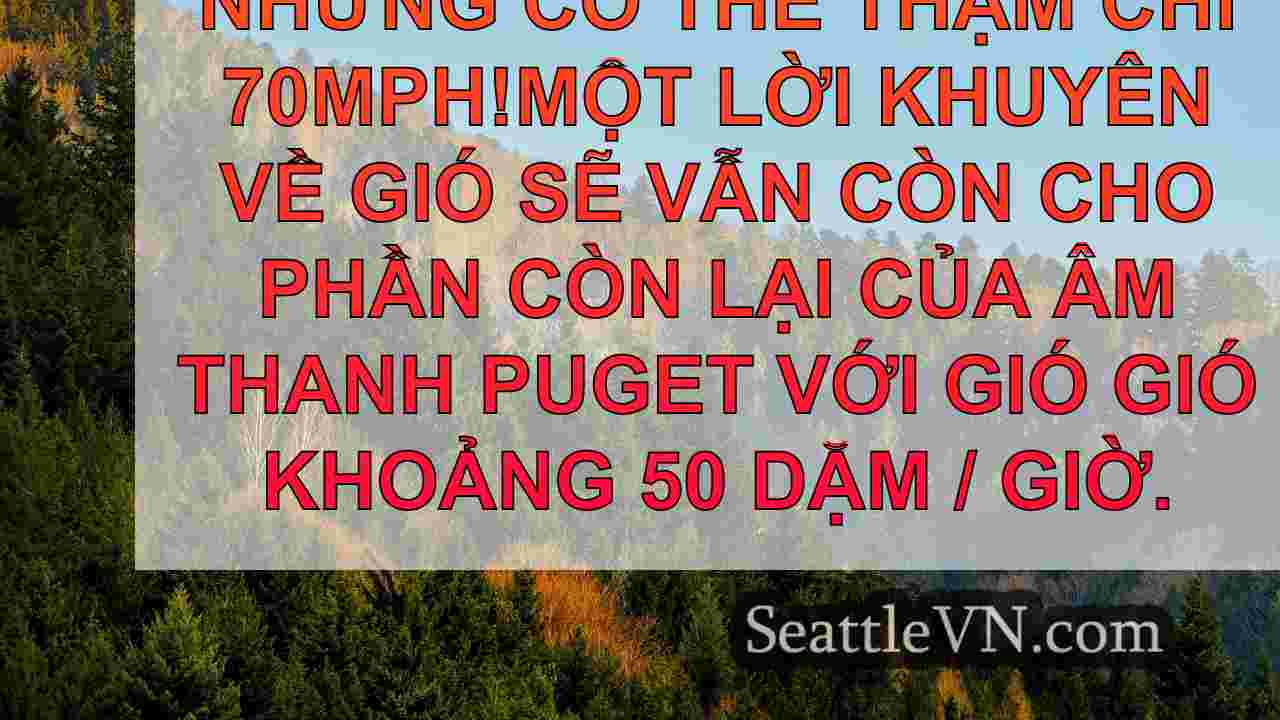 tin tức seattle SeattleVN