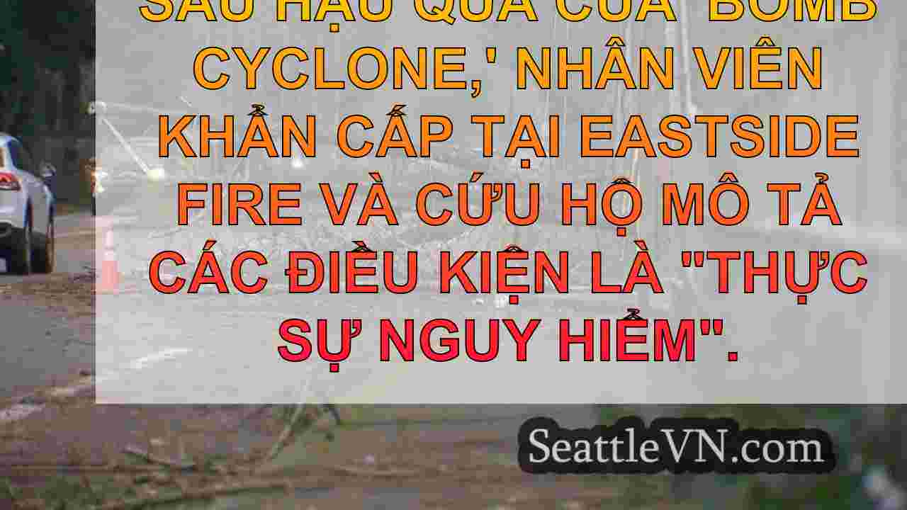 tin tức seattle SeattleVN
