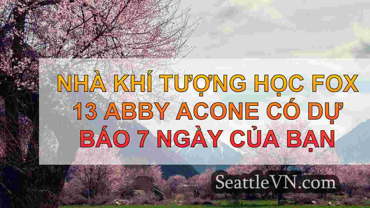 tin tức seattle SeattleVN