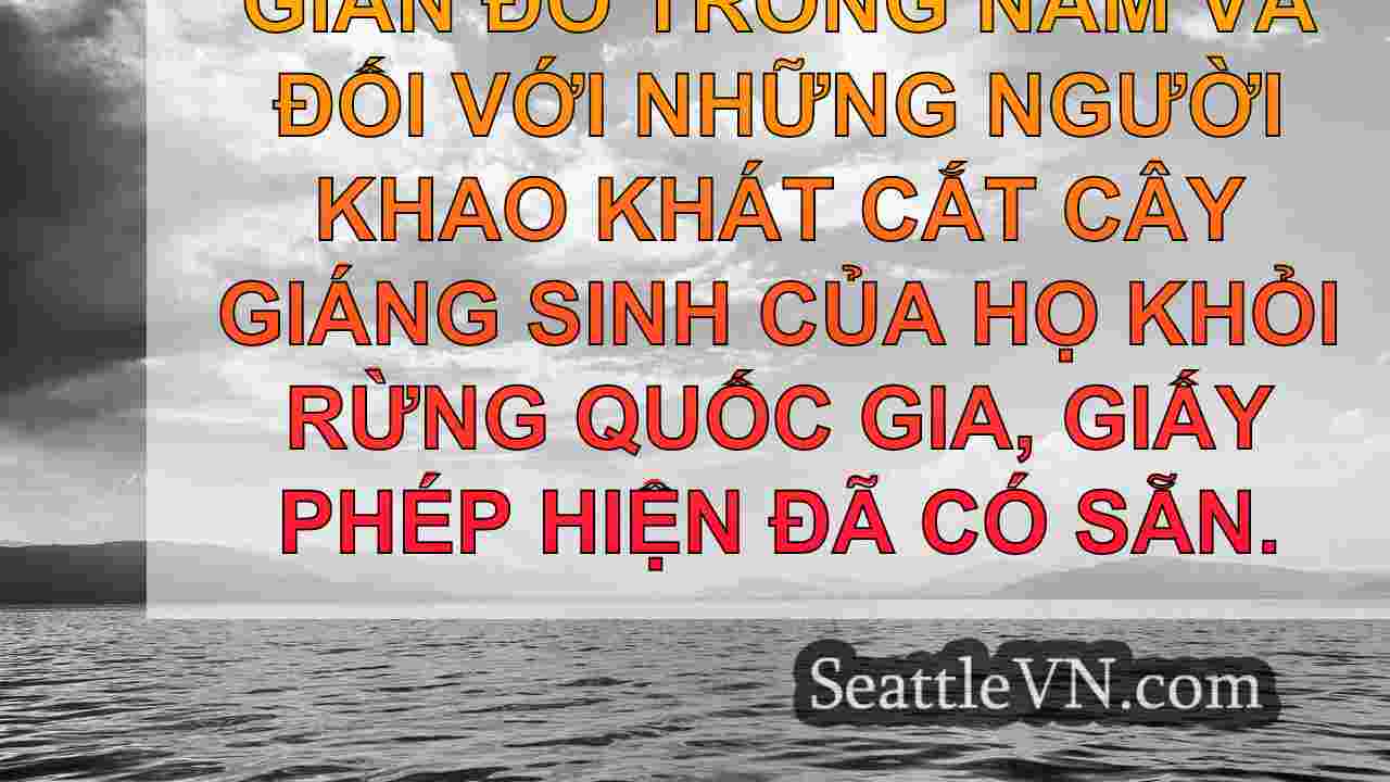 tin tức seattle SeattleVN