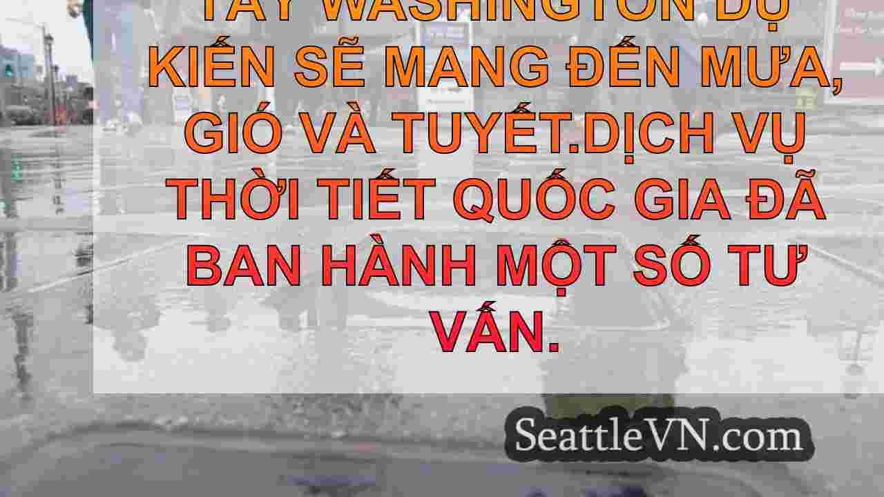 tin tức seattle SeattleVN