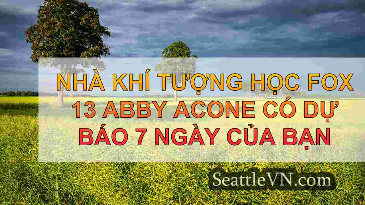 Cuộc diễu hành hệ thống bão cho khu vực