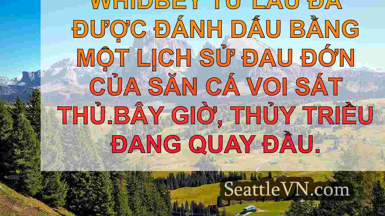 tin tức seattle SeattleVN