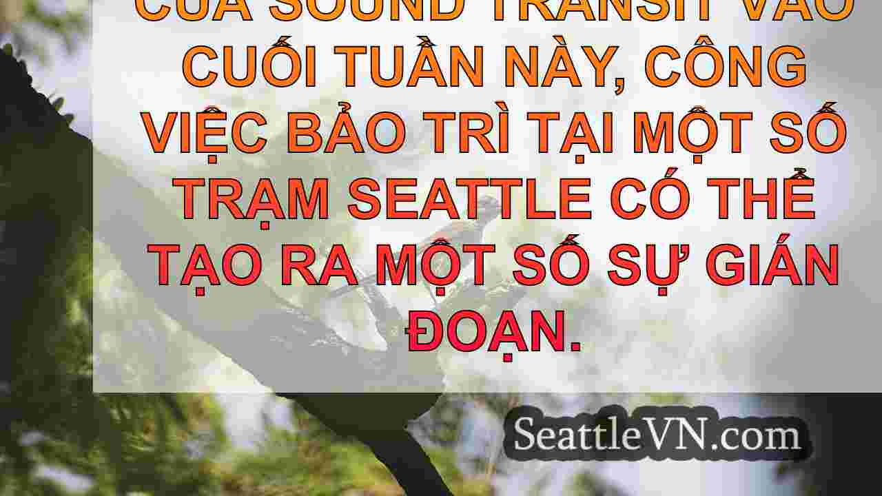 tin tức seattle SeattleVN