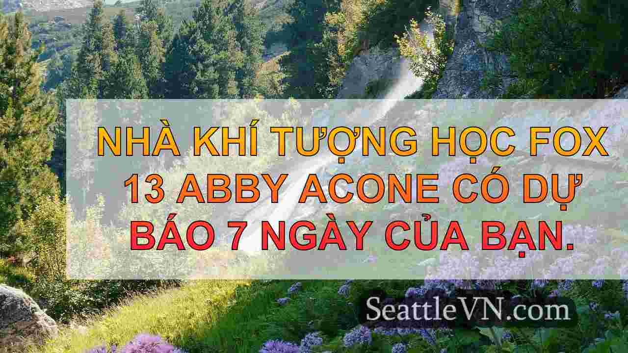 tin tức seattle SeattleVN