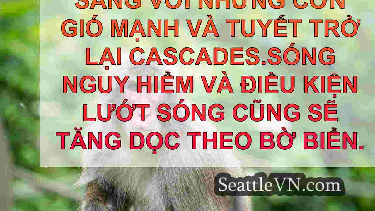 tin tức seattle SeattleVN