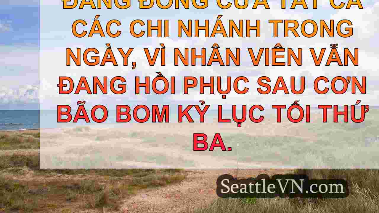 King County đóng cửa thư viện giữa vụ