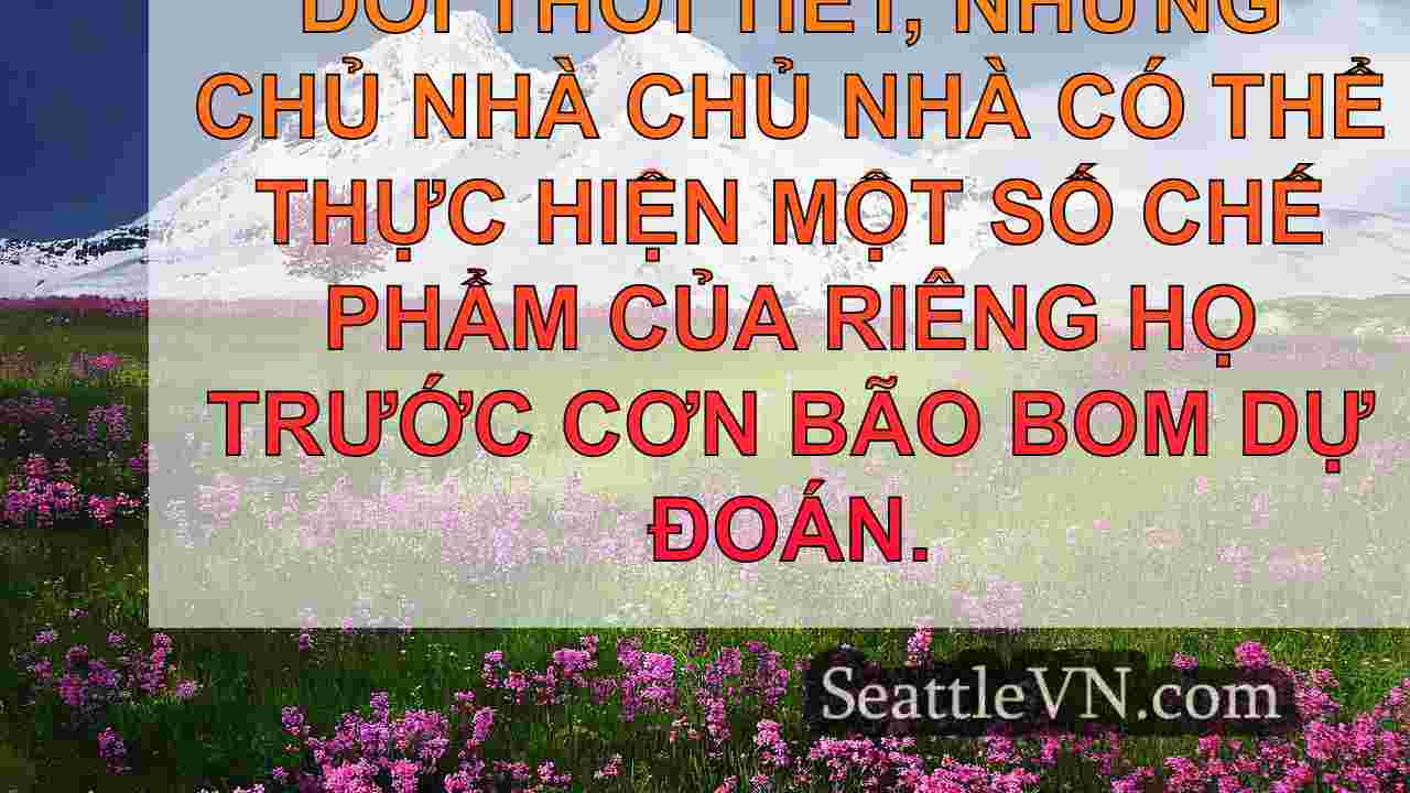Bomb Bomb Cyclone: ​​Chuẩn bị cho mất
