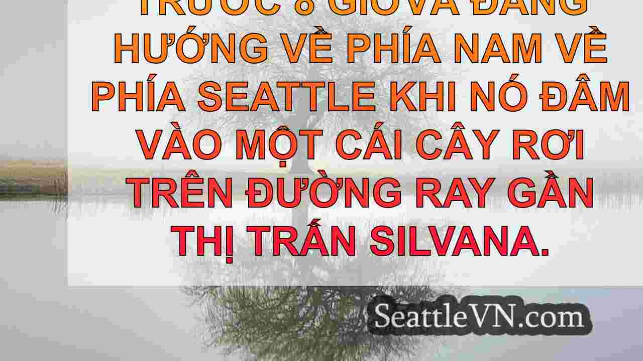 tin tức seattle SeattleVN