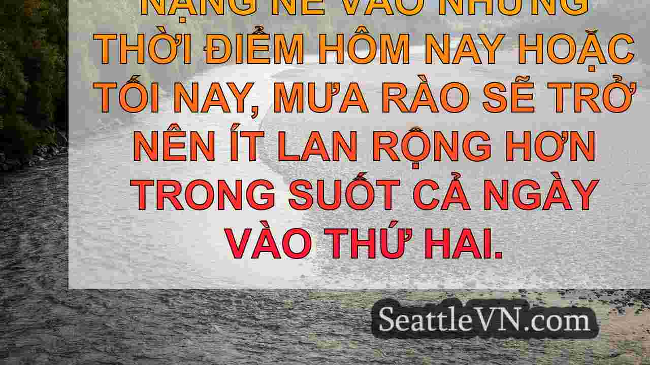 tin tức seattle SeattleVN