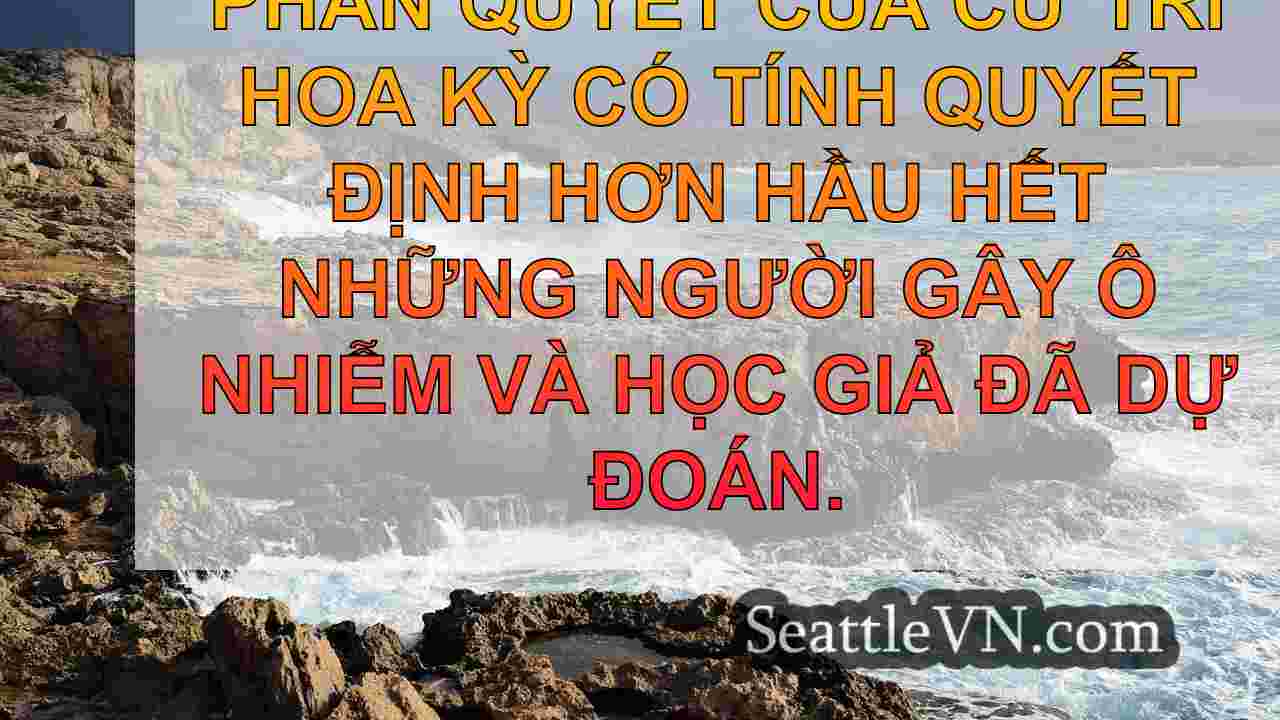 tin tức seattle SeattleVN