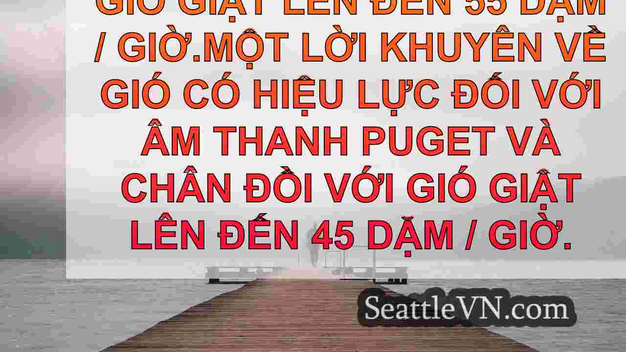 Dự báo thời tiết ẩm ướt, gió và xám ở