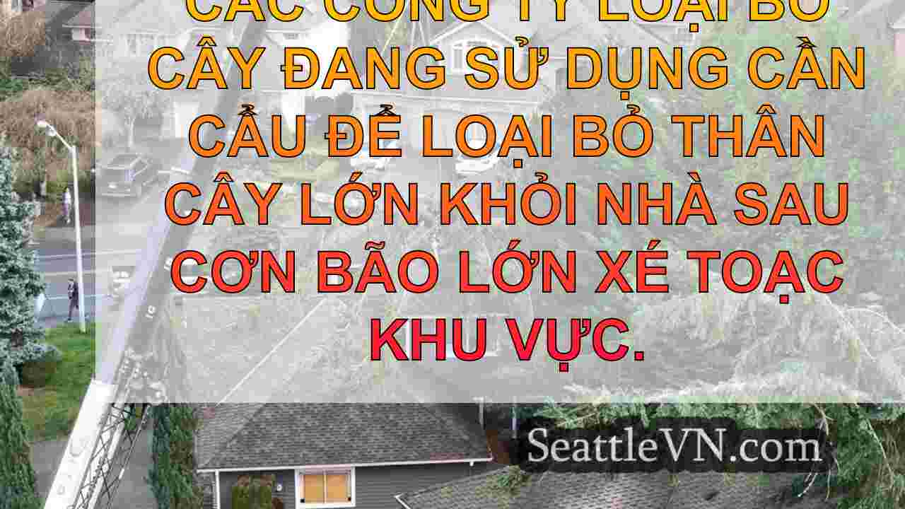 Cần cẩu được sử dụng để loại bỏ những
