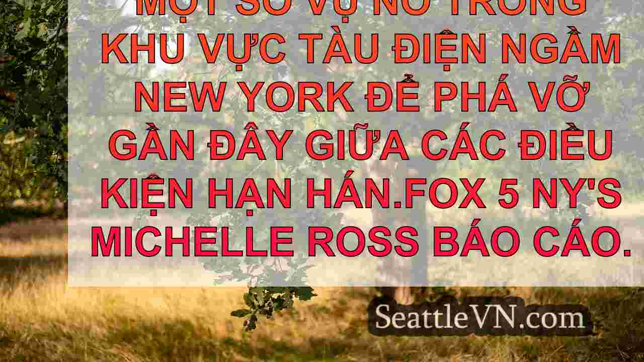 tin tức seattle SeattleVN