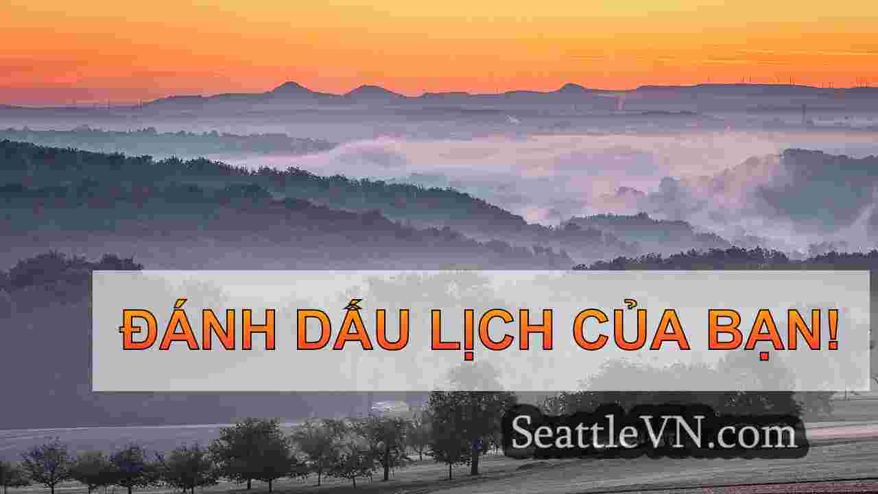 Sự lãng mạn hóa học của tôi đến Seattle