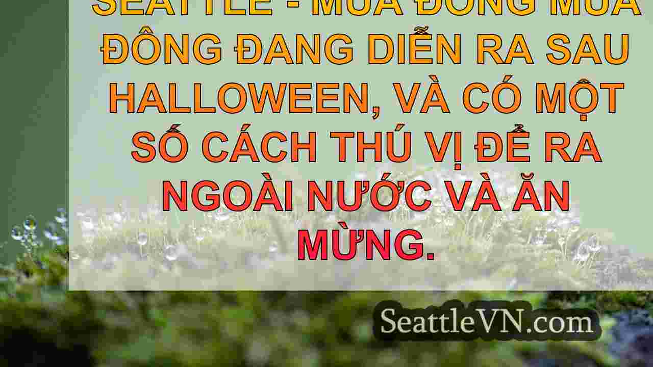 tin tức seattle SeattleVN