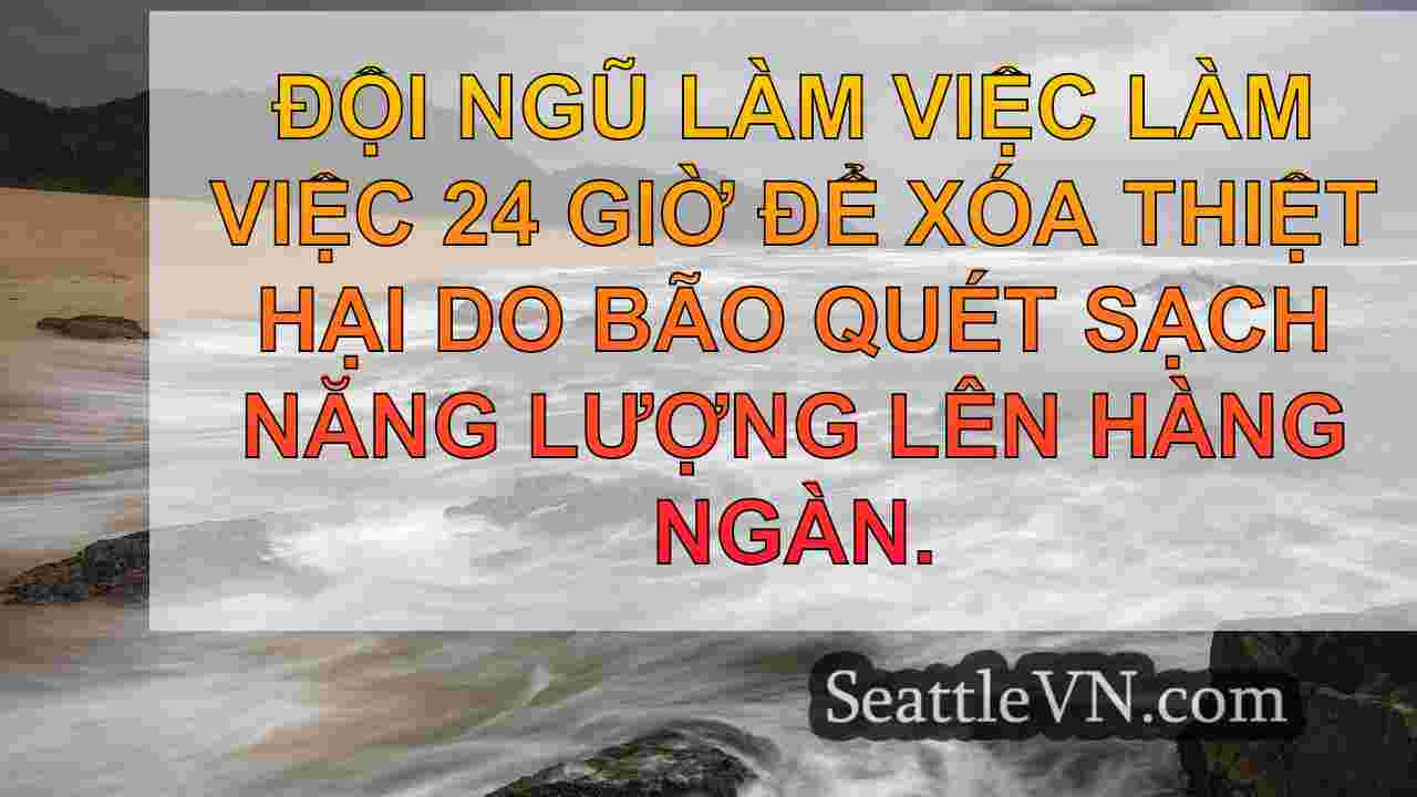 tin tức seattle SeattleVN