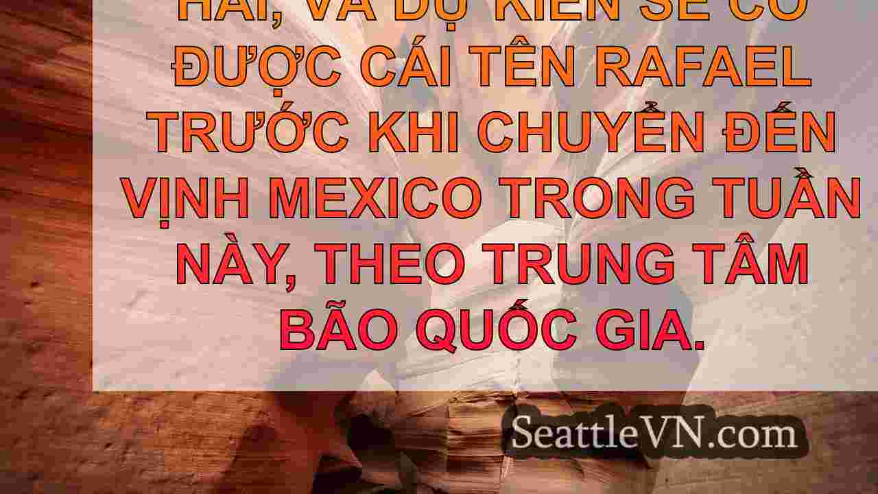 tin tức seattle SeattleVN