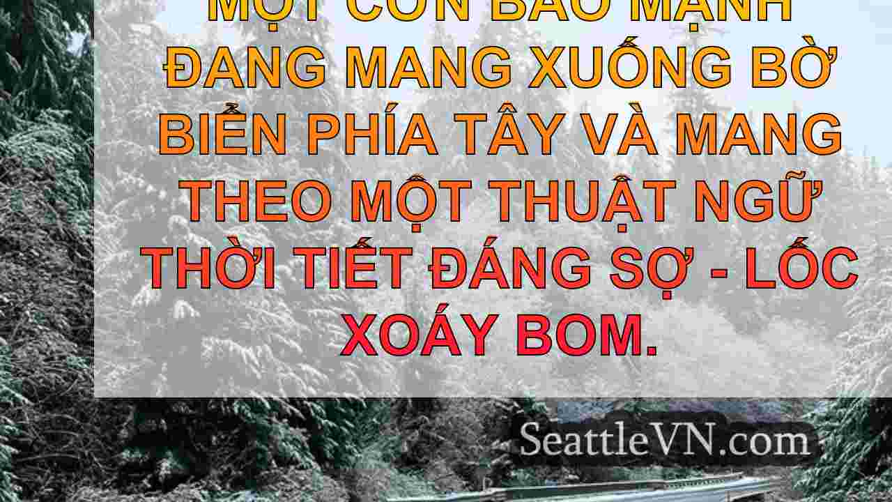 tin tức seattle SeattleVN