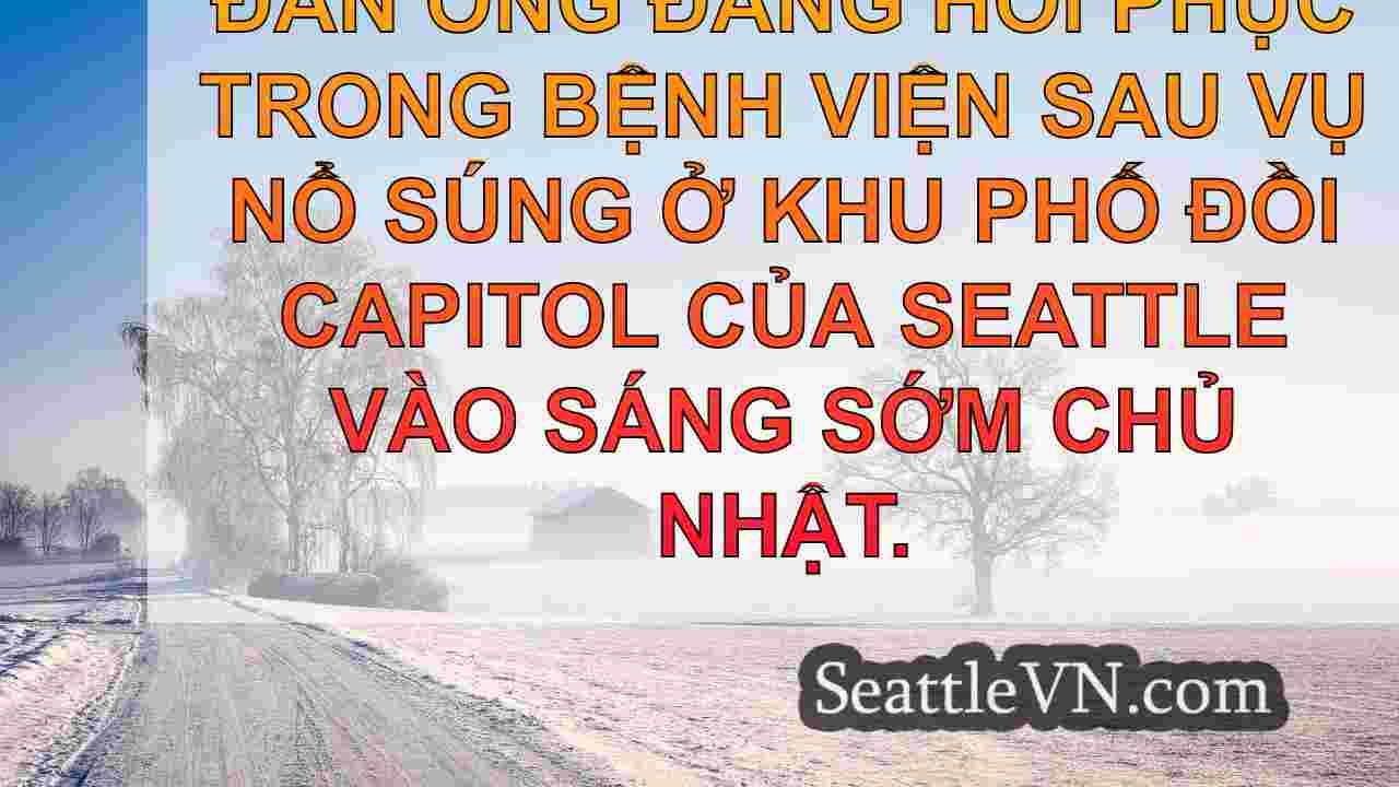 1 người bị thương trong vụ nổ súng trên