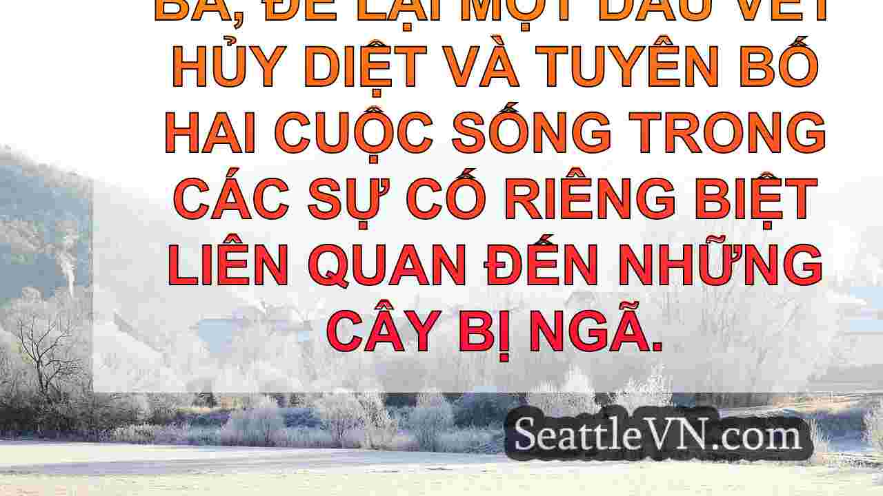 tin tức seattle SeattleVN