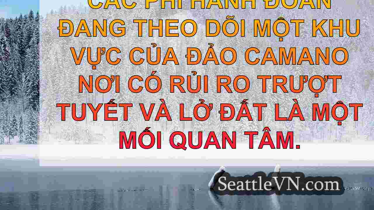tin tức seattle SeattleVN
