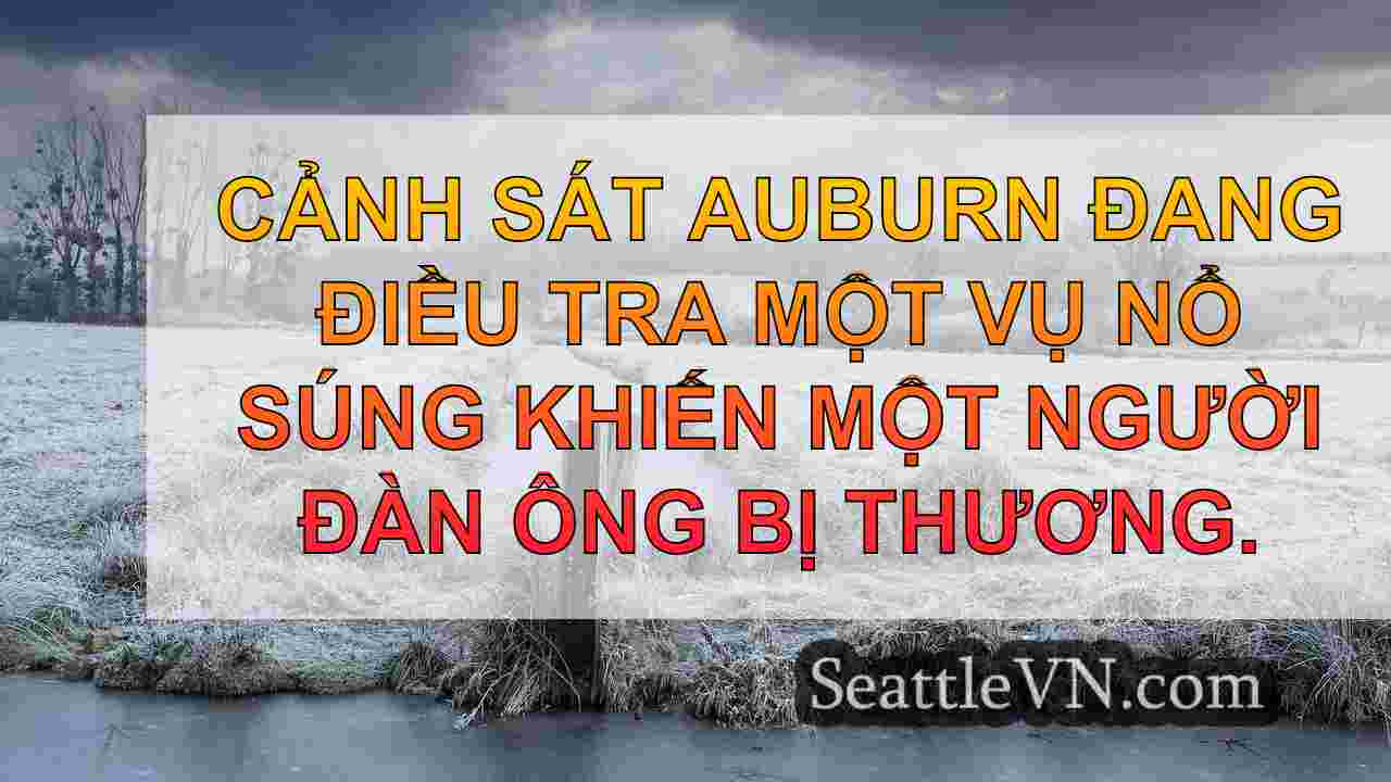 tin tức seattle SeattleVN