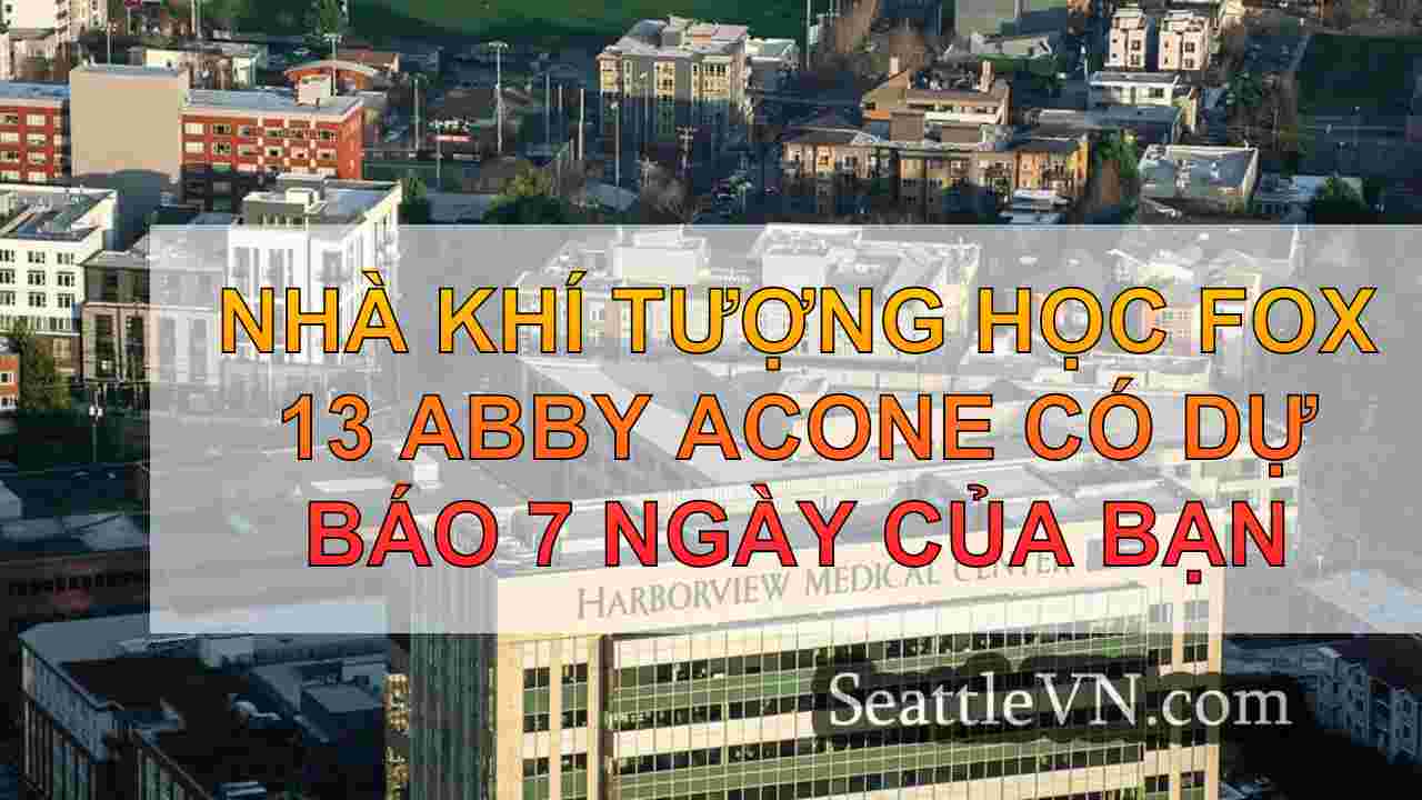Thời tiết mưa, lũ lụt ven biển nhỏ ở
