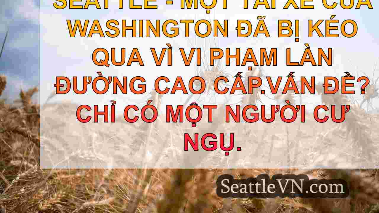 WA HOV Violator đã sử dụng đầu bộ xương