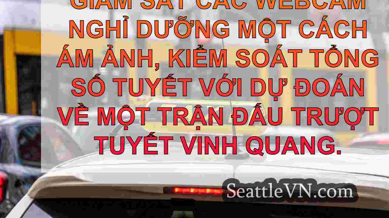 tin tức seattle SeattleVN