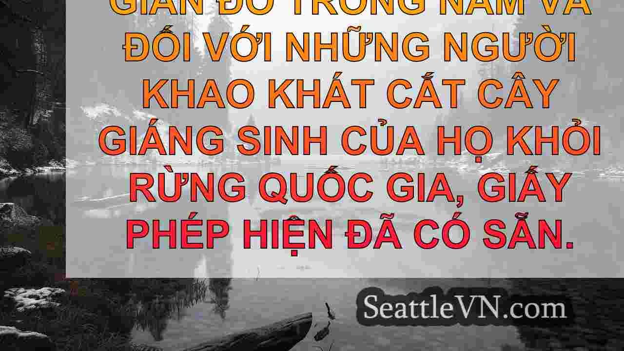 tin tức seattle SeattleVN