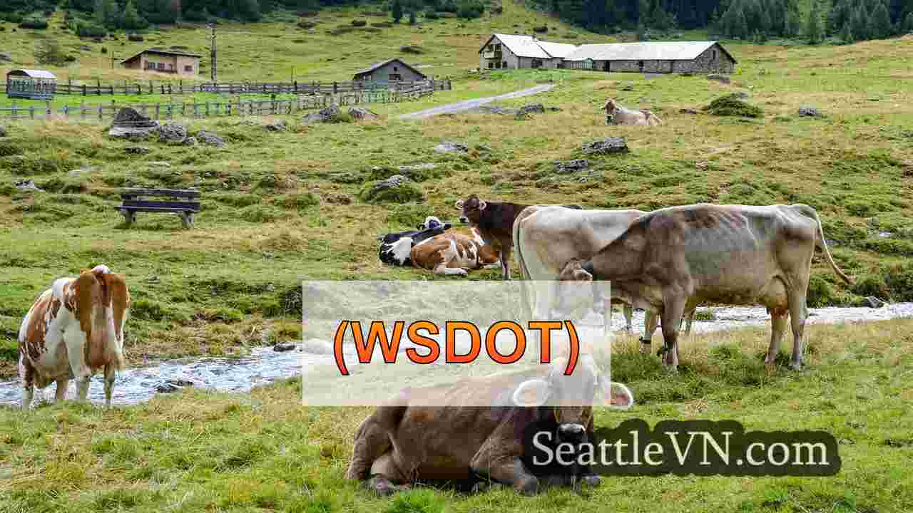 tin tức seattle SeattleVN