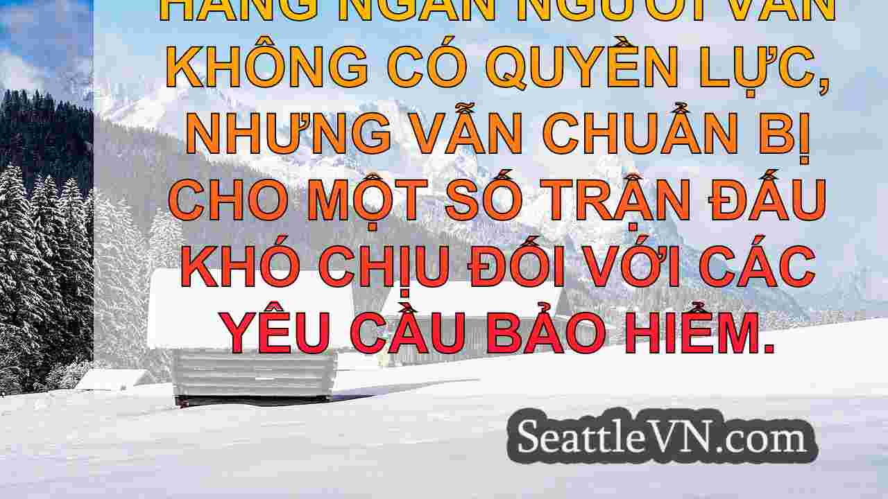 tin tức seattle SeattleVN