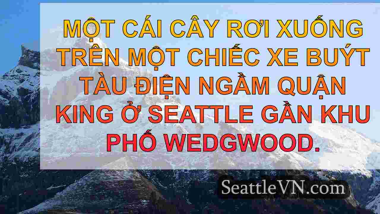 tin tức seattle SeattleVN