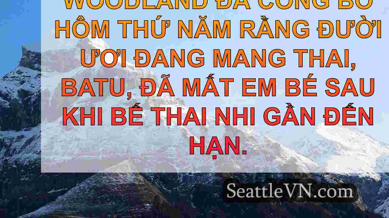 tin tức seattle SeattleVN