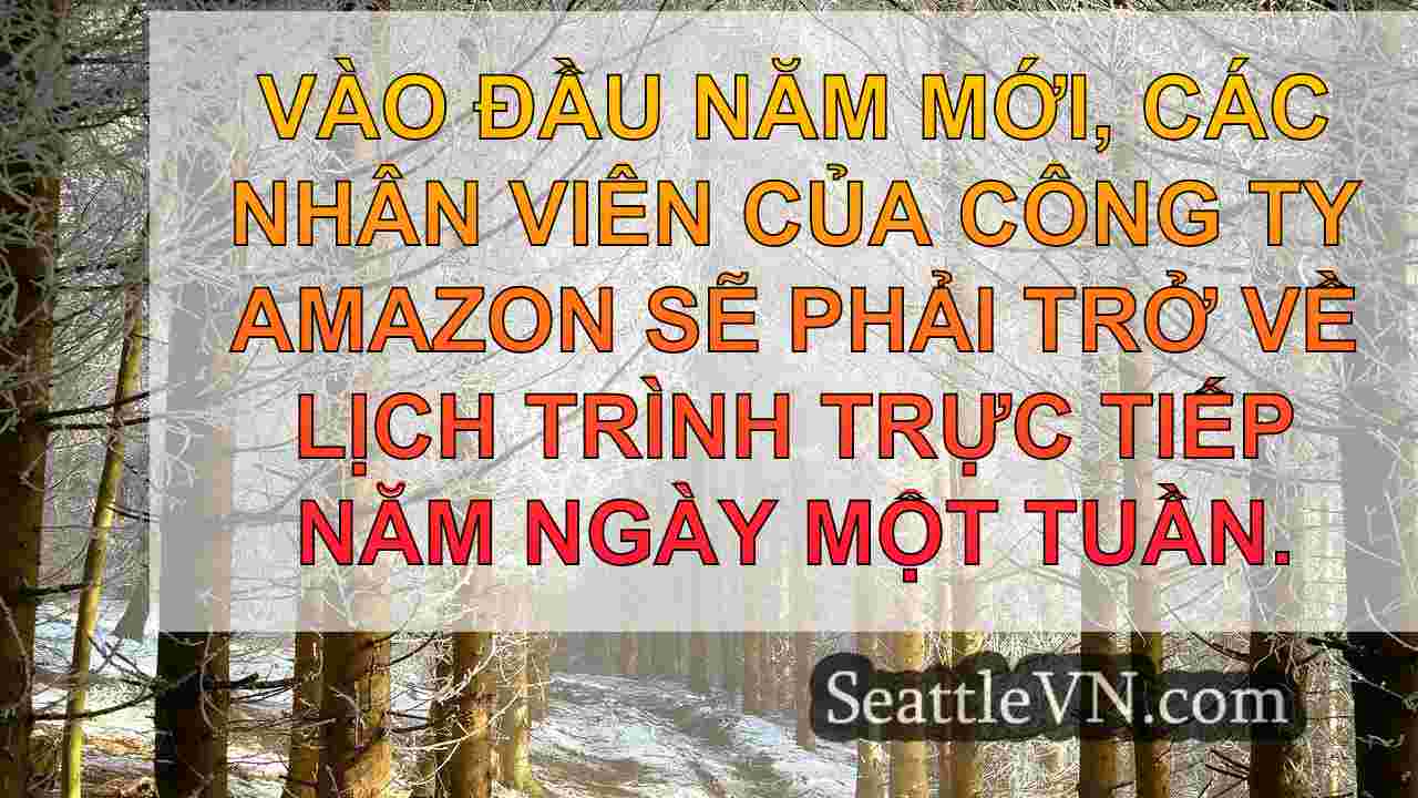 Amazon ra mắt 'Haul' cho khách hàng Hoa