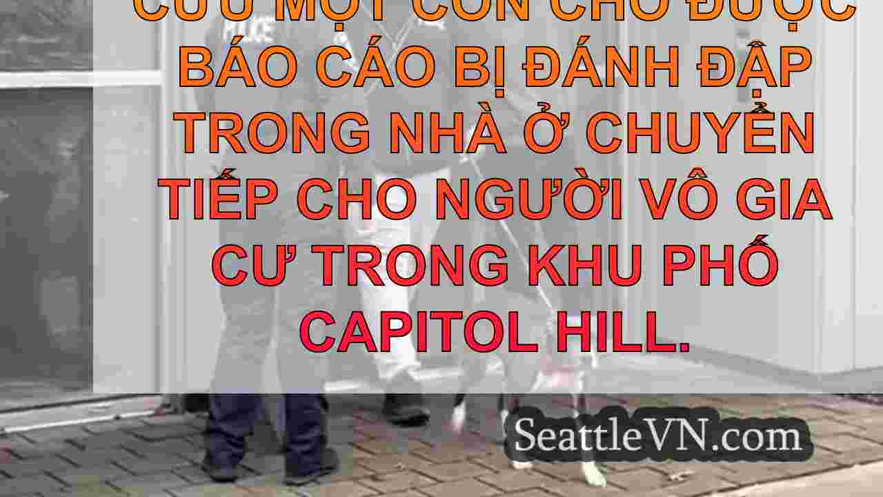Thành viên Hội đồng Seattle giúp giải