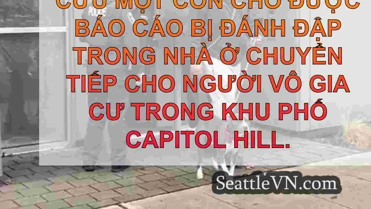tin tức seattle SeattleVN
