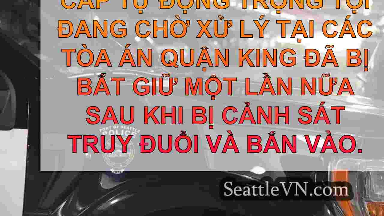 tin tức seattle SeattleVN
